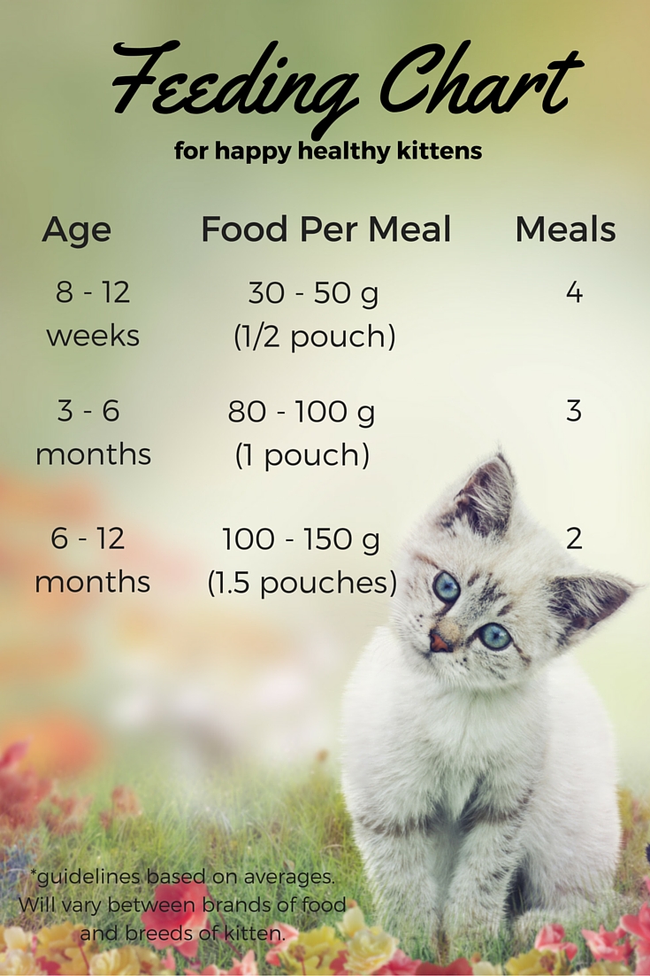 Purina En Wet Cat Food Feeding Guide At Ira Burns Blog