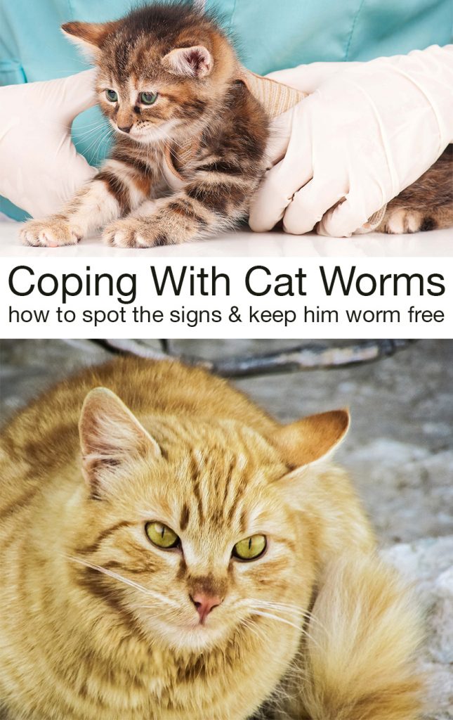 Can Worms Cause Health Problems