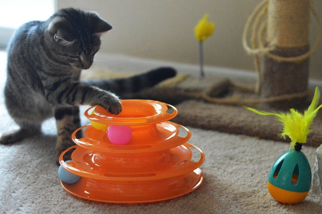stimulating toys for indoor cats