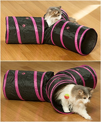 fun toys for indoor cats