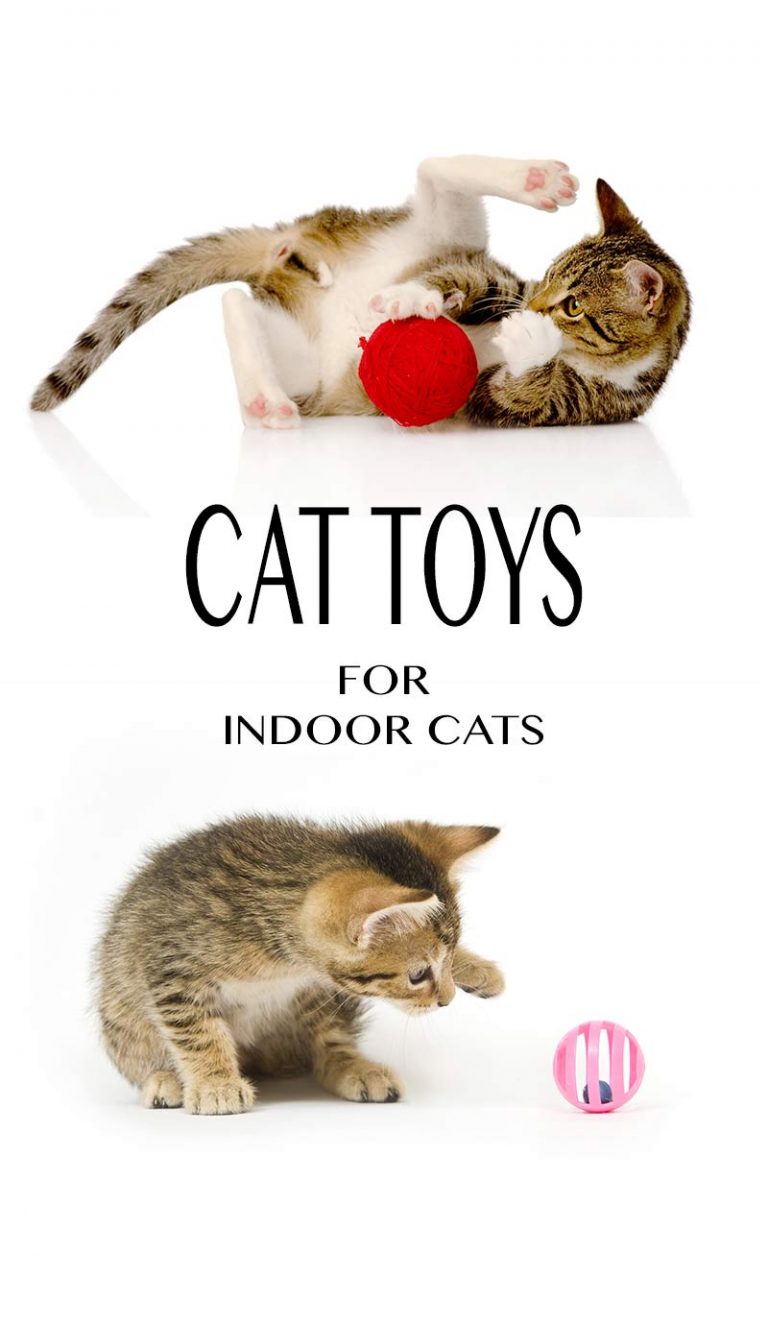 toys for active indoor cats