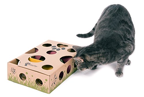 stimulating cat toys