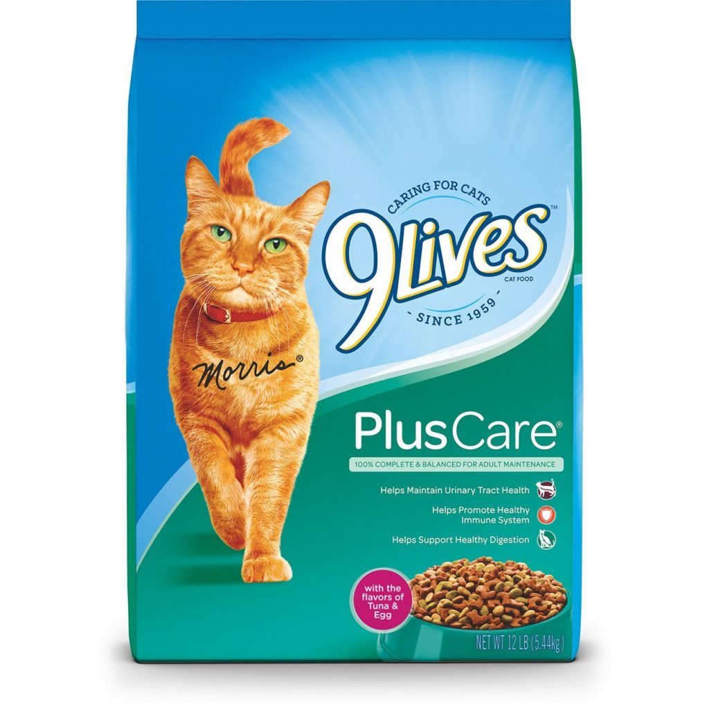 cheap but healthy cat food