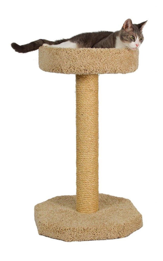 cat scratch post tree