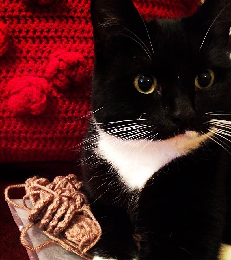 Best Crochet Catnip Mouse Pattern, Instructions And Tips