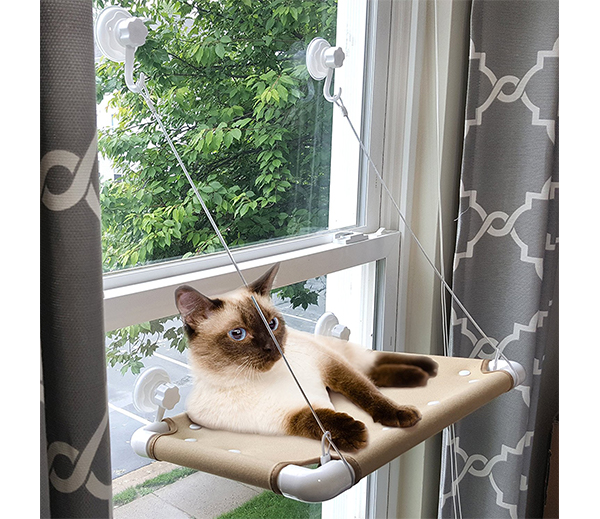 Best Cat Hammocks For Cute Kitties Reviews And Tips For Choosing