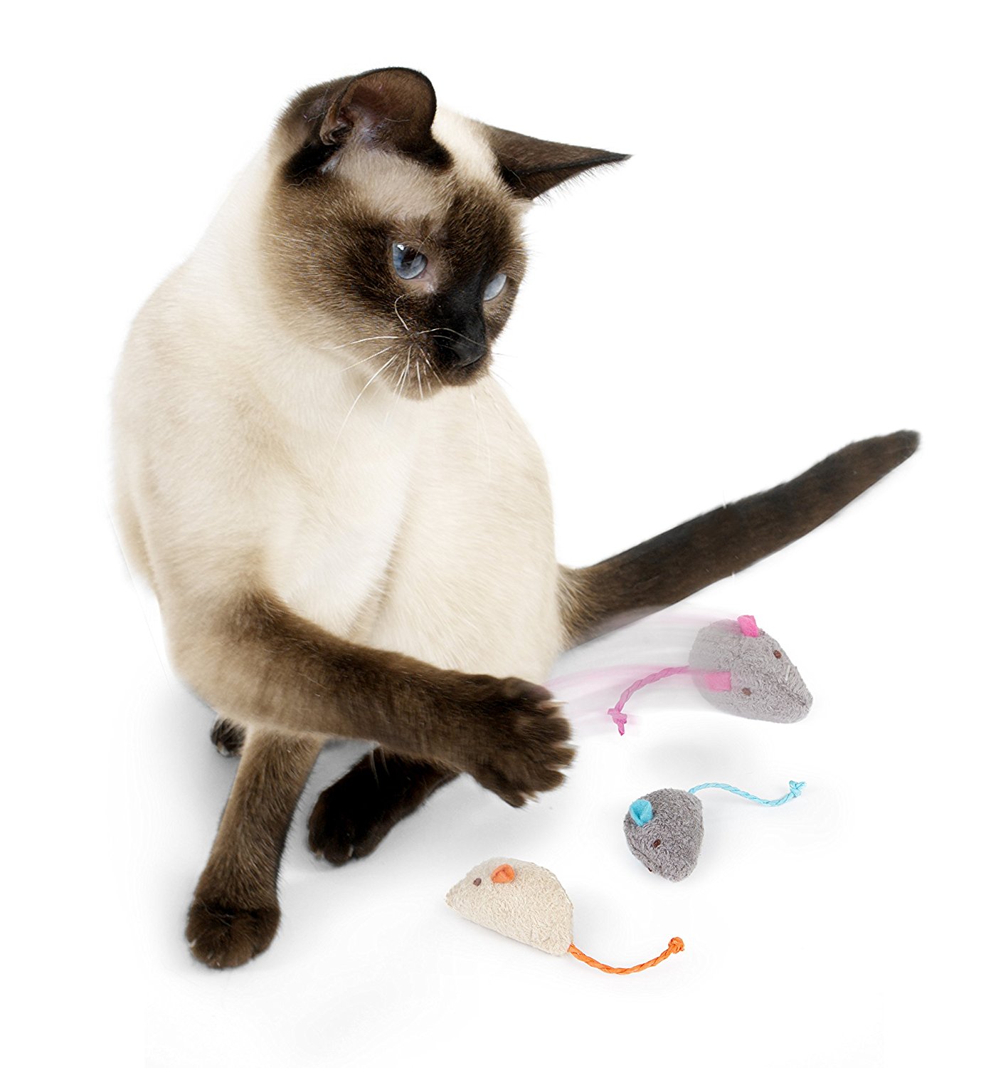 cheap cat toys to make