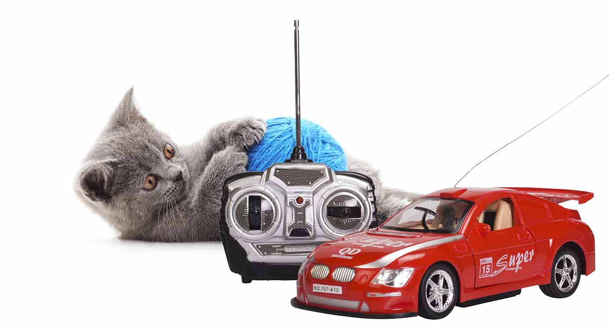 remote cat toys