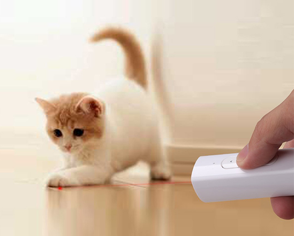 cat with remote control