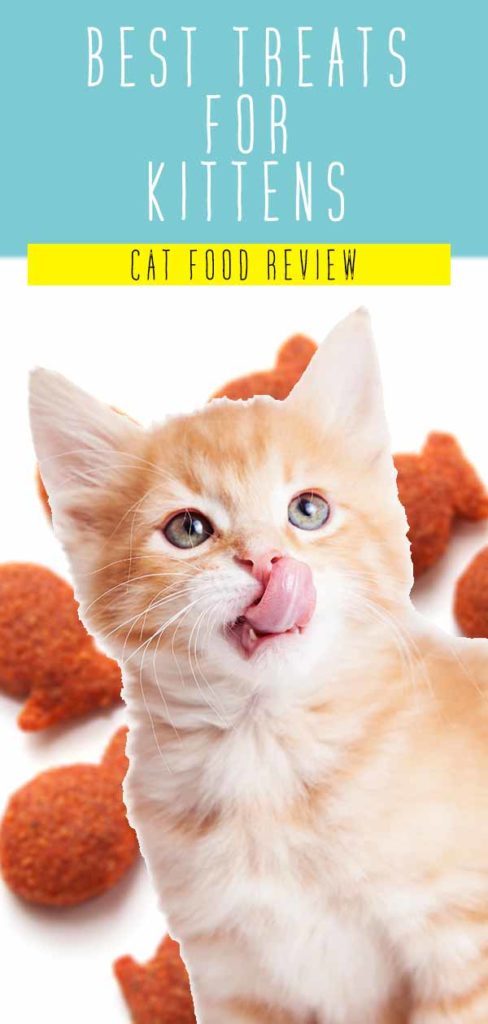 Kitten Treats - Discover The Best Treats For Kittens