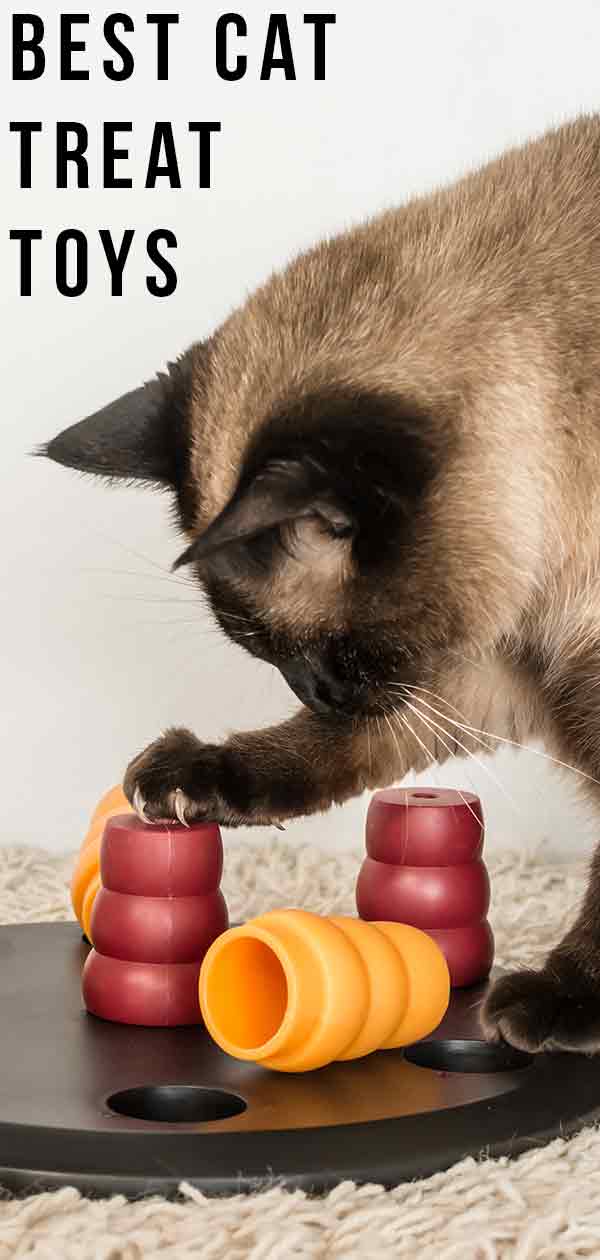 cat treat toy diy