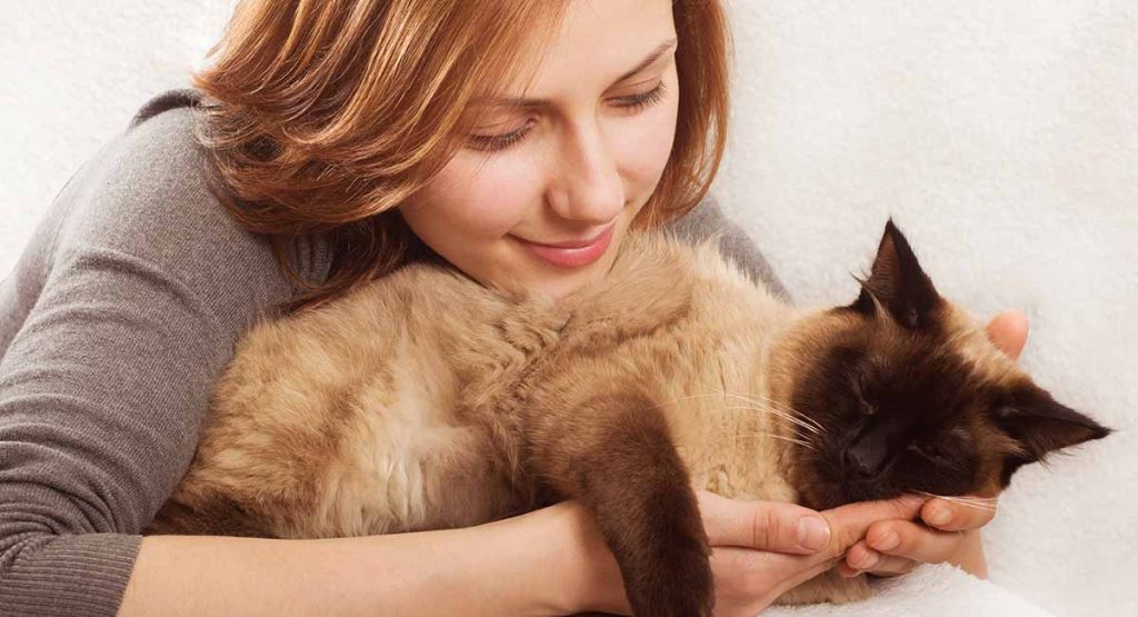 Friendliest Cat Breeds – The Best Pets For Happy Families