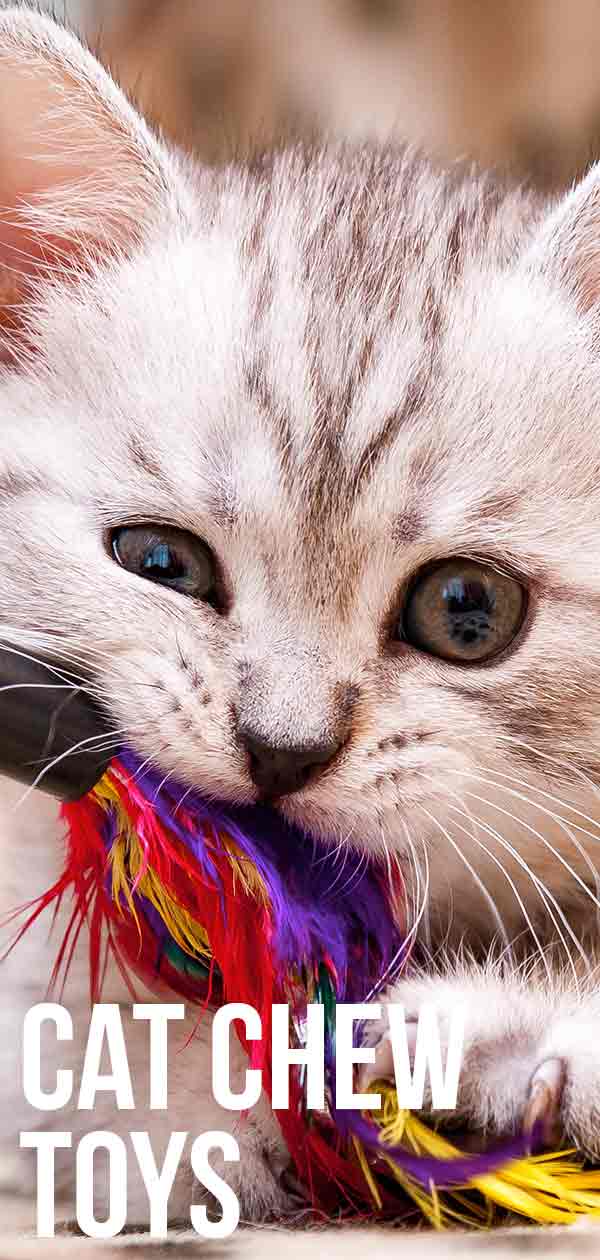 safe chew toys for cats