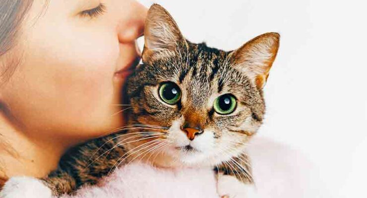 Girl Cat Names - 400 Fabulous Names For Female Felines