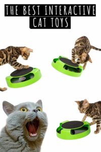 best interactive cat toys 2019