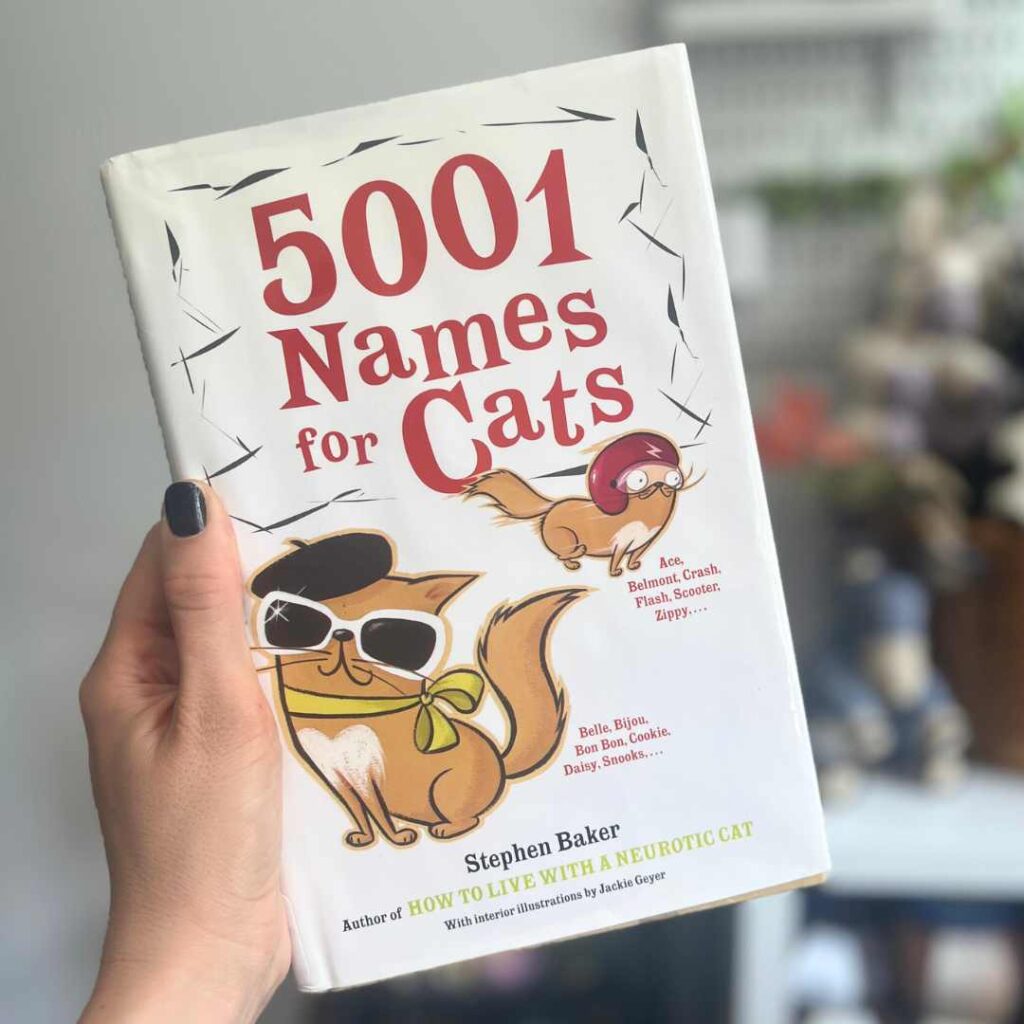 picture of my copy of 5001 cat names book