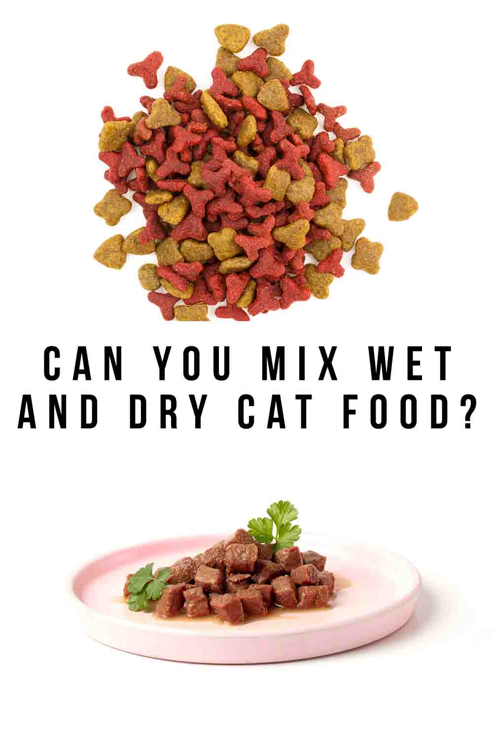 can-you-mix-wet-and-dry-cat-food